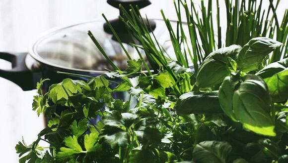 Encuentra aquí los mejores trucos de cocina para conservar adecuadamente las hierbas aromáticas. (Foto: Pexels/Suzy Hazelwood).