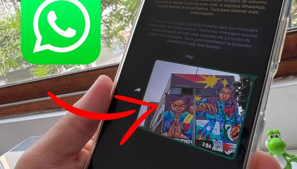 ¿Quieres guardar las fotos de WhatsApp en otra carpeta? Conoce en qué parte de tu celular se descargan. (Foto: MAG)