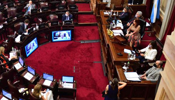 Vista de una sesión de la Cámara de Senadores de Argentina en Buenos Aires. (Foto: Ronaldo SCHEMIDT / AFP).