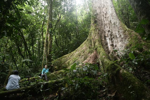 Perú Natural: un recorrido por Pampa Hermosa - 1