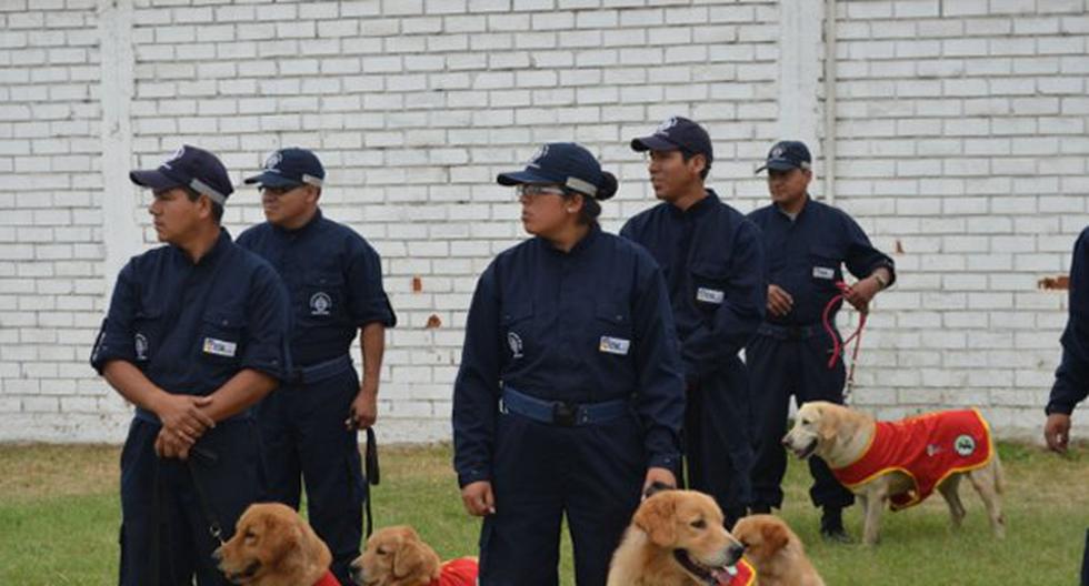 Canes adiestrados para detectar artículos pirotécnicos ocultos en cajas y almacenes serán presentados como parte de Brigada Canina de la Municipalidad de Lima. (Foto: Andina)