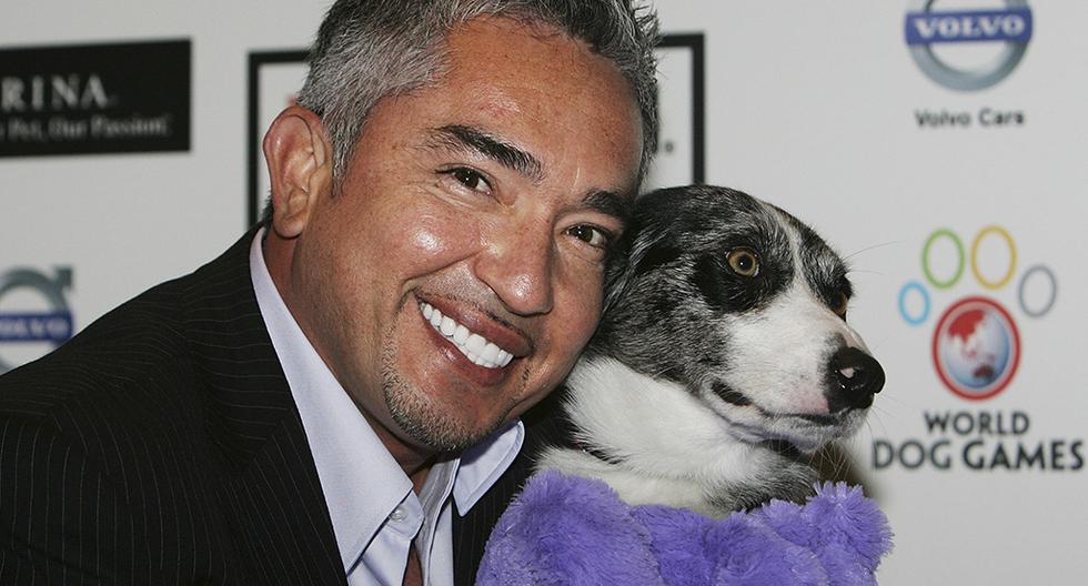 Investigan a César Millán, \"el encantador de perros\", por crueldad animal. (Foto: Getty Images)