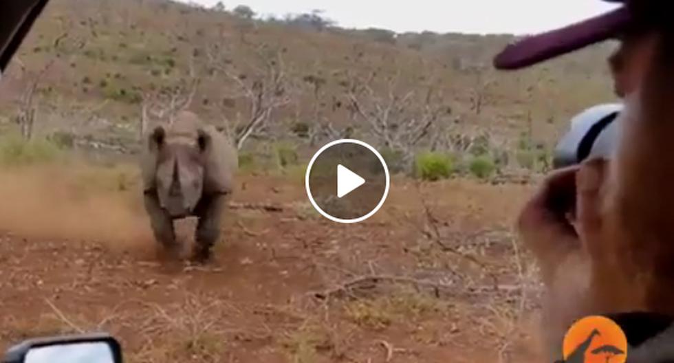 YouTube nos trae un curioso video en el que podremos apreciar cómo es que un rinoceronte ataca a un fotógrafo en África. (Foto: captura)