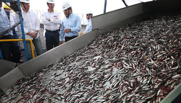 La ministra Rocío Barrios se mostró optimista para la segunda temporada de pesca de anchoveta. (Foto: Andina)