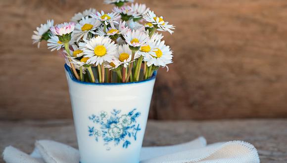 Mecánicamente Consumir Refinería La mejor manera para hacer que tus flores en jarrones duren más tiempo |  RESPUESTAS | MAG.