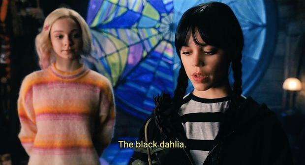 Wednesday: qué significan realmente las flores de dalia negra de Merlina |  Serie de Netflix | FAMA | MAG.