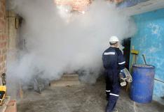 Confirman 30 casos de dengue en Villa María del Triunfo