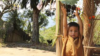 Chanchamayo, Villa Rica y Satipo: viaje al centro de la selva