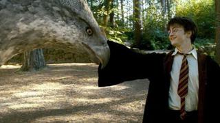 [BBC] Los mitos detrás de las bellas criaturas de Harry Potter