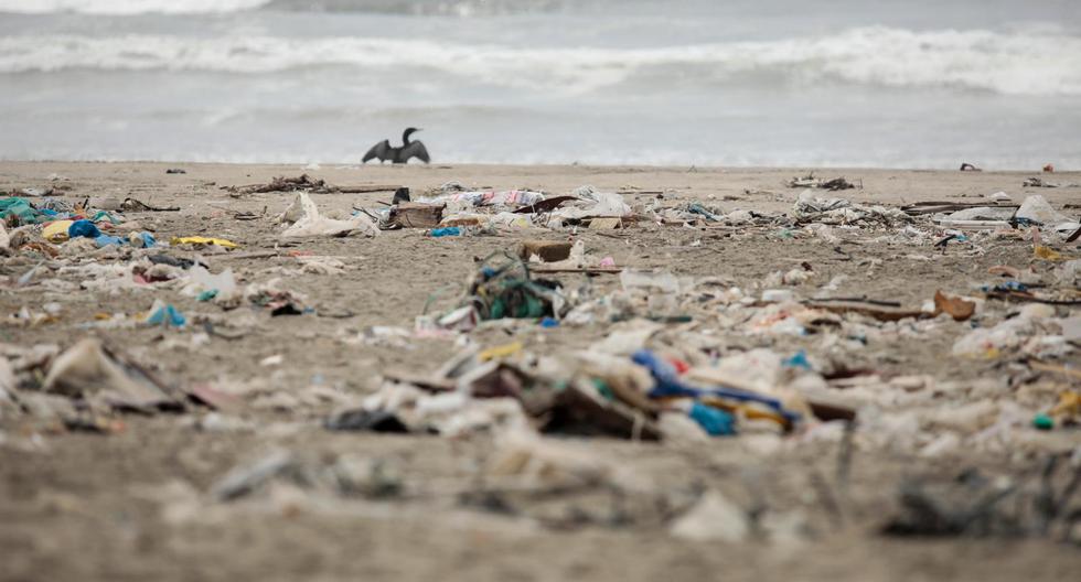Summer 2024: Only 23% of beaches nationwide are healthy |  Statement |  Beaches |  Digesa |  Minsa |  Garbage |  Bacteria |  Peru