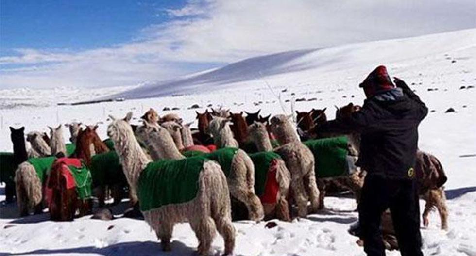 Perú. Tarata, en la región Tacna, soportó temperatura mínima de -12.7 grados, informó el Senamhi. (Foto: Agencia Andina)