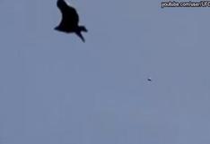 YouTube: Captan supuesto ovni detrás del vuelo de águila (VIDEO)