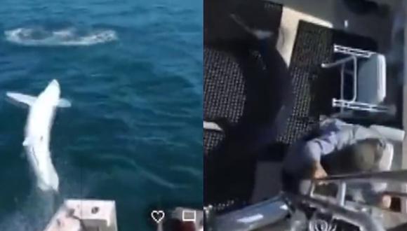 Estados Unidos: Tiburón de dos metros saltó a barco con tripulación adentro. (Captura de video).