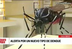 Brote de nuevo tipo de dengue deja tres regiones del país en emergencia sanitaria
