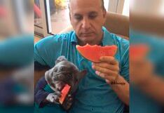 Perro usa sus patitas para comer sus alimentos y el video es furor en redes sociales