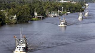 Una bacteria tóxica viene contaminando las aguas del río Mississippi