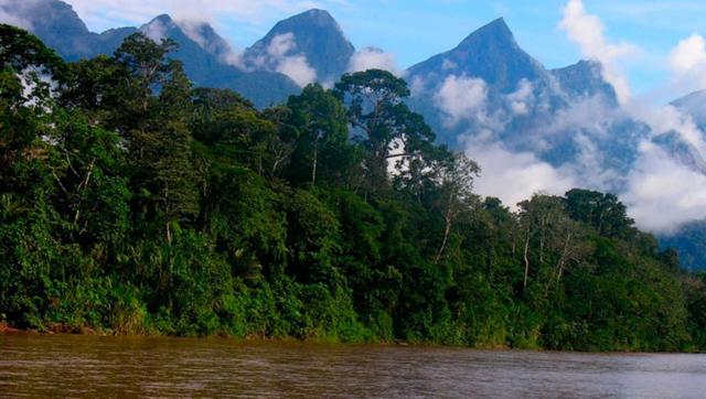 El Parque Nacional Cordillera Azul (PNCAZ) está ubicado entre los ríos Huallaga y Ucayali, en los departamentos de San Martín, Loreto, Ucayali y Huanuco con una extensión de 1’353,190.85 hectáreas. (Foto: iperu)