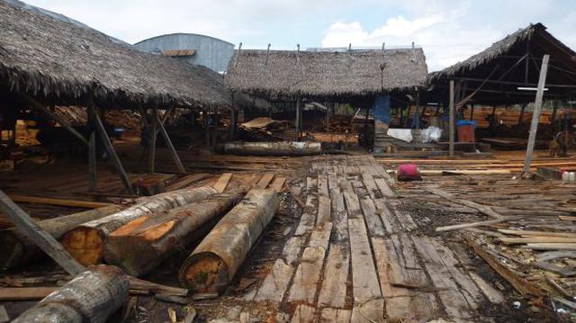 Iquitos: incautan madera valorizada en más de S/. 5 millones - 3