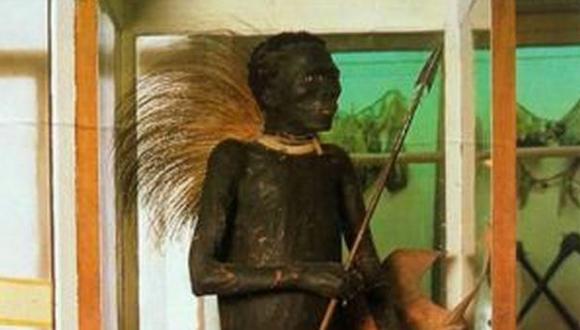 Insólito: Africano fue disecado y exhibido en museo de España