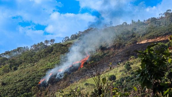 Incendio forestal fue reportado la mañana de este sábado, pero habría iniciado la noche del viernes 8 de setiembre. (Foto: Andina)