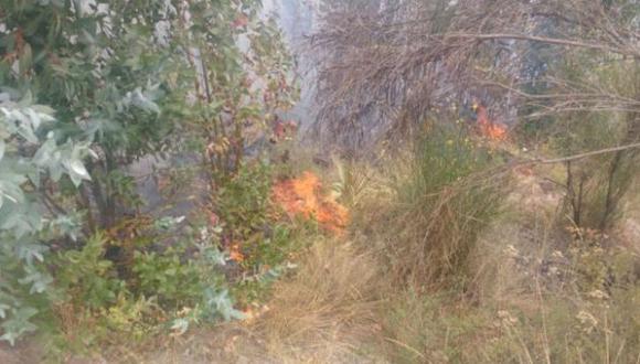 Incendio forestal afectó 40 hectáreas de cobertura natural. (Foto: archivo)