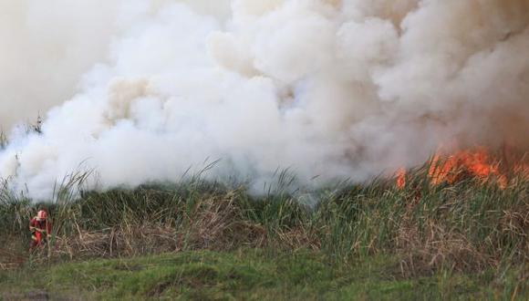 A vísperas de la COP 20, se incendió un sector de los pantanos de Villa. (Foto: Lino Chipana / El Comercio)