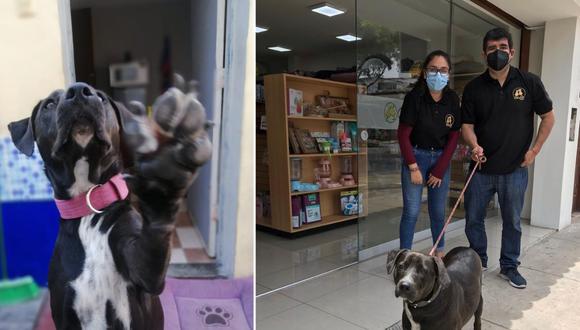 Hace dos años, Mila fue entregada a Ladras Madrinas por el equipo de una pet shop, en donde llegó tras perder a sus dueños.