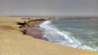 Erupción en Tonga: cierran la Reserva Nacional de Paracas por oleajes anómalos 