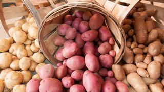 Plantean cultivar papas con agua salada para combatir el hambre