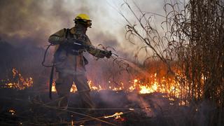 Argentina: llovió en Córdoba tras cinco meses y se extinguieron focos de incendios en la sierra | VIDEOS