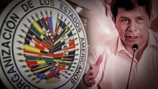 Misión de OEA en Perú: lo que se sabe de sus integrantes, su agenda y lo que puede pasar tras su visita