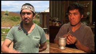 Chile: Indígenas aspiran a crear la nación Mapuche