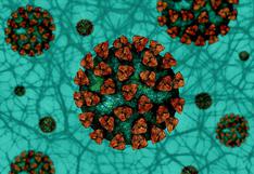 Variante británica del coronavirus parece ser más mortífera: todo lo que se sabe 