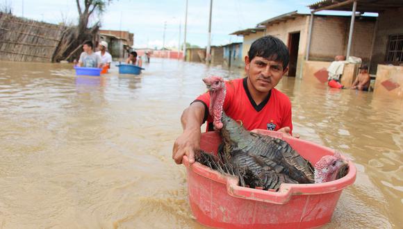 Un grupo de pobladores de Pedregal Grande, del sector Molino Azul, rescatan en ollas a sus pavos. La mayoría de damnificados perdió todos sus animales de corral. (Foto: Ralph Zapata)