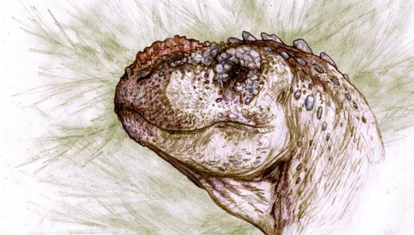 Según los investigadores, es posible que el Tralkasaurus cuyi se alimentara de los pequeños dinosaurios herbívoros conocidos como iguanodontes. (Foto: CTyS/UNLaM)