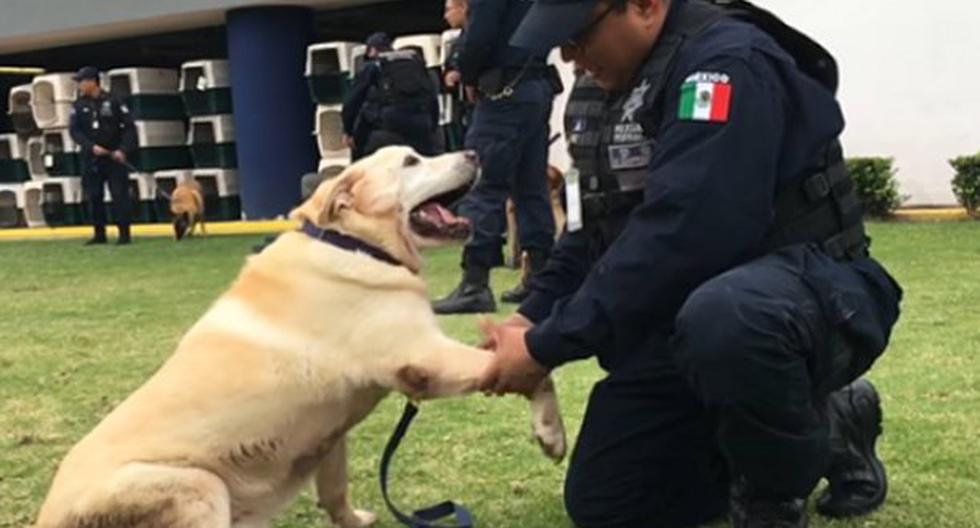 Policías se despiden de sus compañeros caninos entre lágrimas. (Foto: Policía Federal de México)