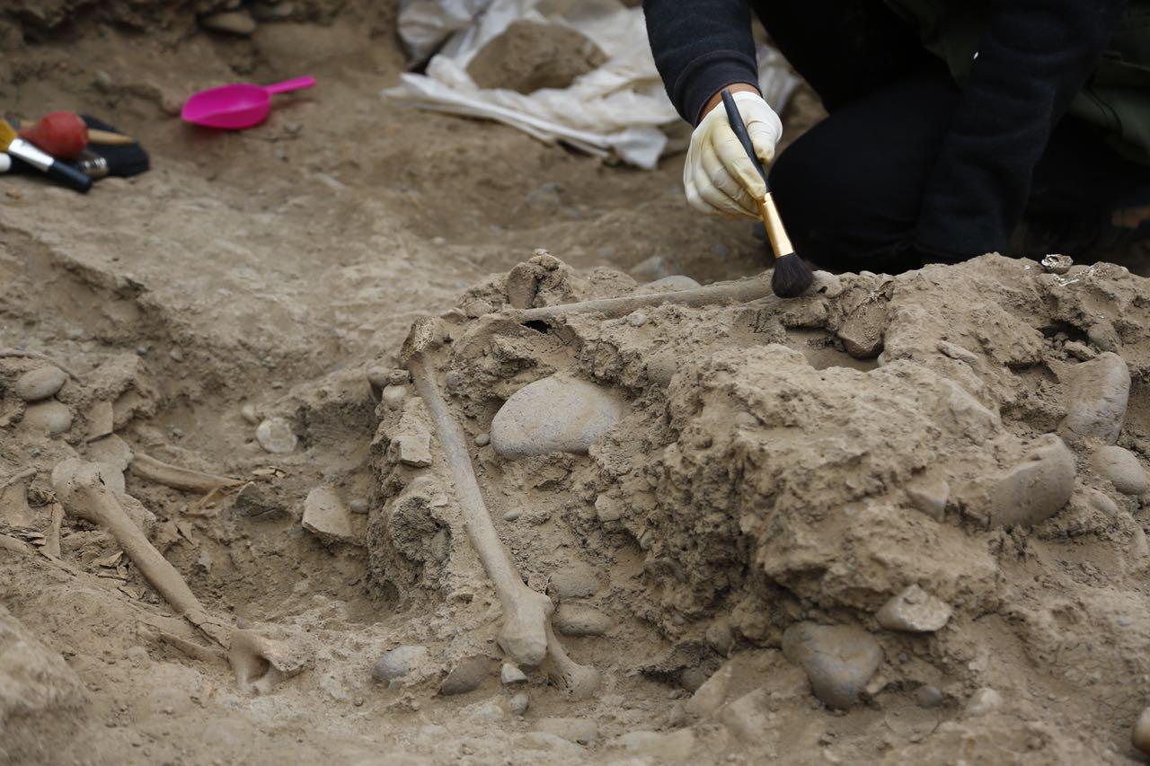 Restos óseos forman parte de un cementerio cementerio que pertenecería a la parte final de la ocupación Lima. (Foto: Difusión)