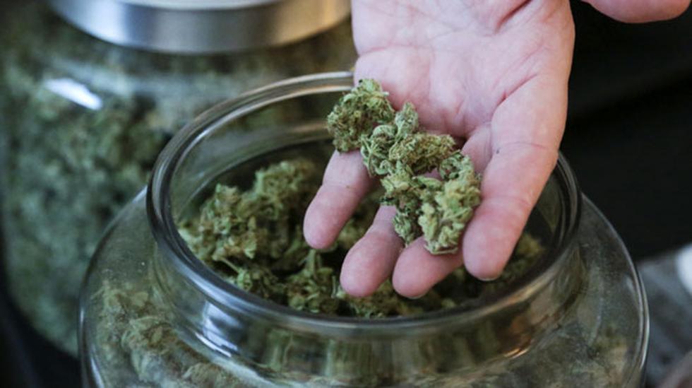Inversionistas bursátiles se interesan por el cannabis legal