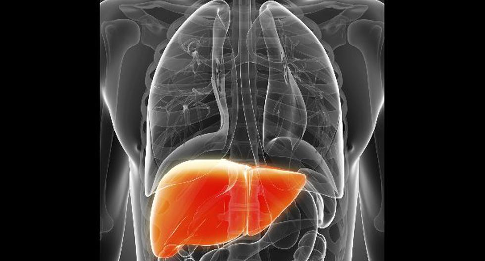Descubre las señales que presenta el hígado cuando no funciona adecuadamente. (Foto: Difusión)