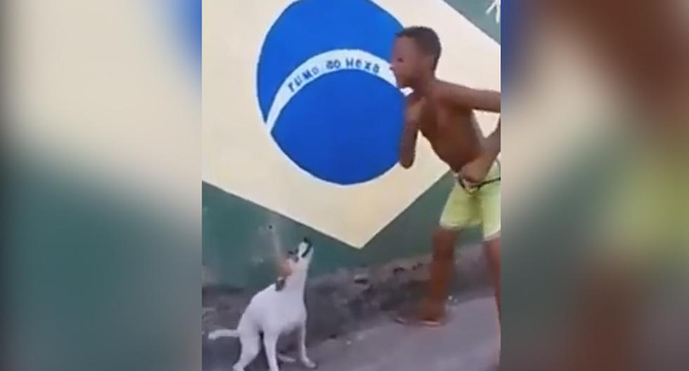 Este perrito que baila Smoke Weed Everyday con su dueño se ha vuelto viral en YouTube (Foto: Captura)