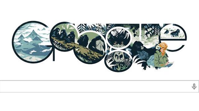 Dian Fossey: Google recuerda con doodle a defensora de gorilas - 1