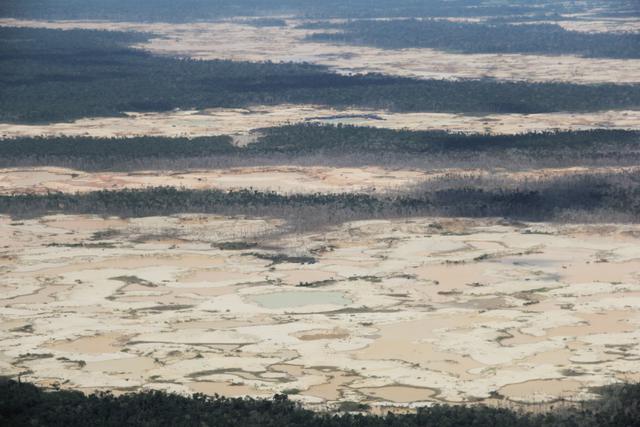 (Foto: Vanessa Romo/ Mongabay Latam)