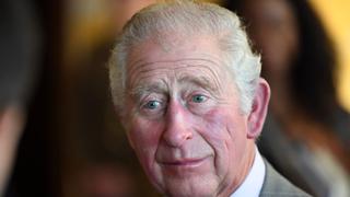 “¿Qué tez tendrán sus hijos?”: atribuyen al príncipe Carlos el comentario racista sobre el hijo de Meghan y Harry