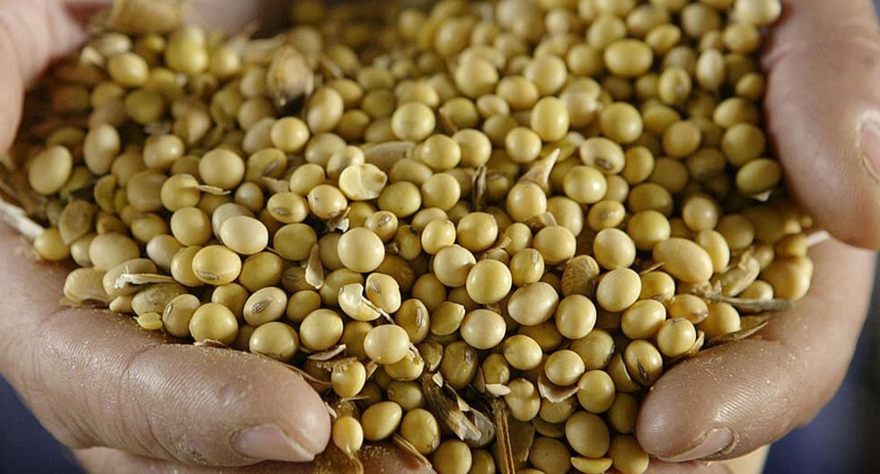 Cámaras empresariales agrícolas bolivianas reclamaron el uso de la biotecnología para mejorar su producción. (Foto: Getty Images)
