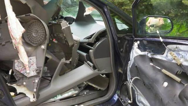 Un oso destruyó un Honda Civic  - 2