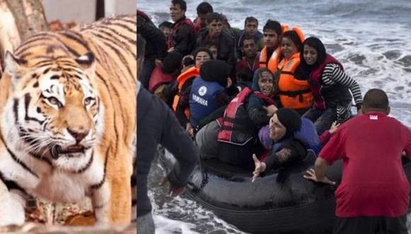 ¿Por qué 7 refugiados se ofrecieron a ser devorados por tigres?