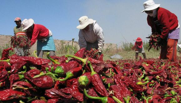 Aún no hay dictamen para la nueva ley agraria. (Foto: GEC)