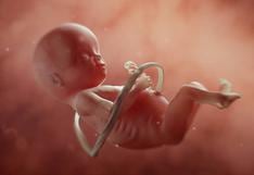 ¿Cuáles son las diez cosas increíbles que hace un bebé dentro del útero de la madre?