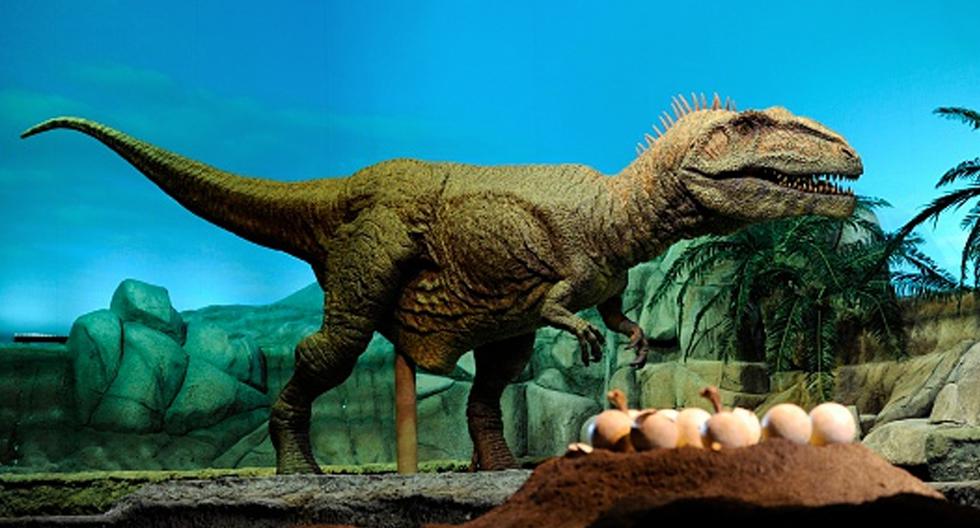 Los huevos de dinosaurio podían tardar de tres a seis meses en eclosionar, un periodo muy prolongado que pudo haber influido en su extinción. (Foto: Getty Images)