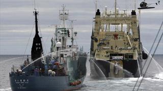 Proponen vigilar barcos en alta mar para evitar degradación del océano